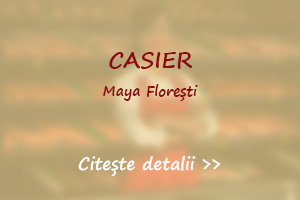 Post vacant casier