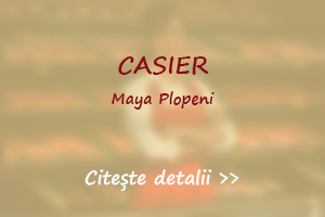 Post vacant casier