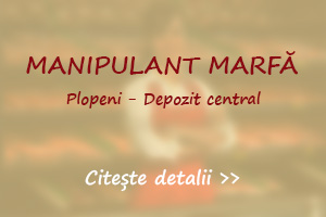 Post vacant manipulant marfa