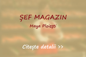 Post vacant sef magazin