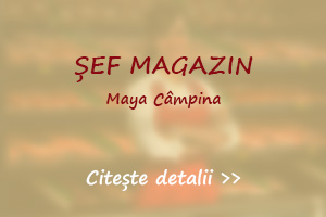 Post vacant sef magazin