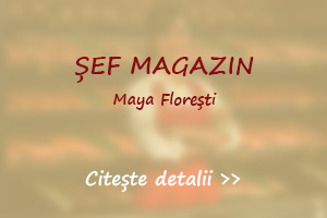 Post vacant sef magazin